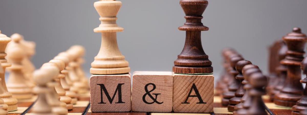 M&A and Private Equity
